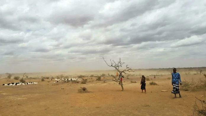 secheresse en somalie - Senenews - Actualité au Sénégal, Politique, Économie, Sport